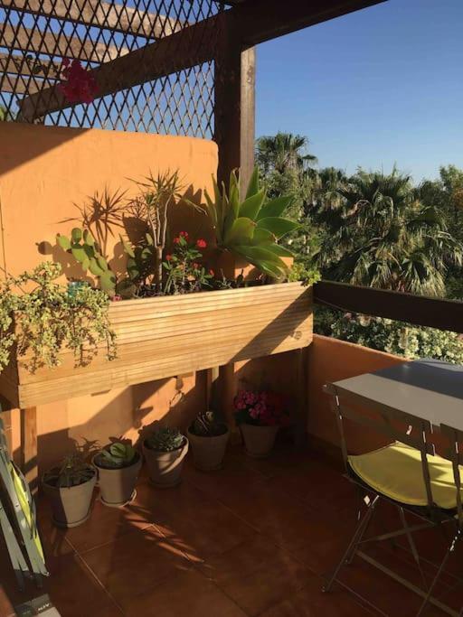 Superbe Appartement Avec Piscine A 800M De La Mer Bahia de Casares Kültér fotó